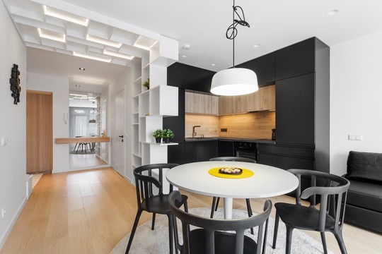 Vilnietė dizainerė 20-mečiams dvyniams sukūrė neįprastus namus