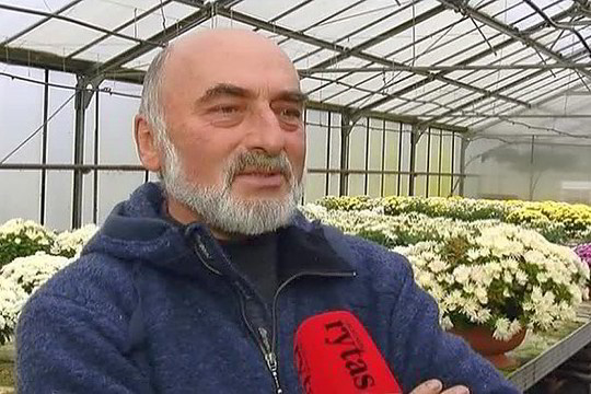 Geros žinios prieš Vėlines: gėlės pigesnės ir nebrangs