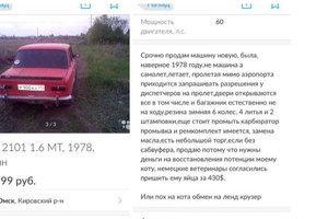 Parduoda „Žiguliuką“, nes nori grąžinti katinui vyriškumą