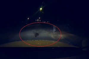 Pareigūnai nufilmavo netikėtą svečią: perspėja apie sunkiai pastebimą pavojų