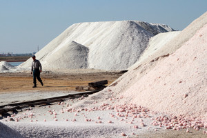 Rusija plečia sankcijas – neleis importuoti dar vieno produkto