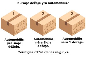 Kurioje dėžėje yra automobilis? Tik 36 proc. žmonių atsako teisingai