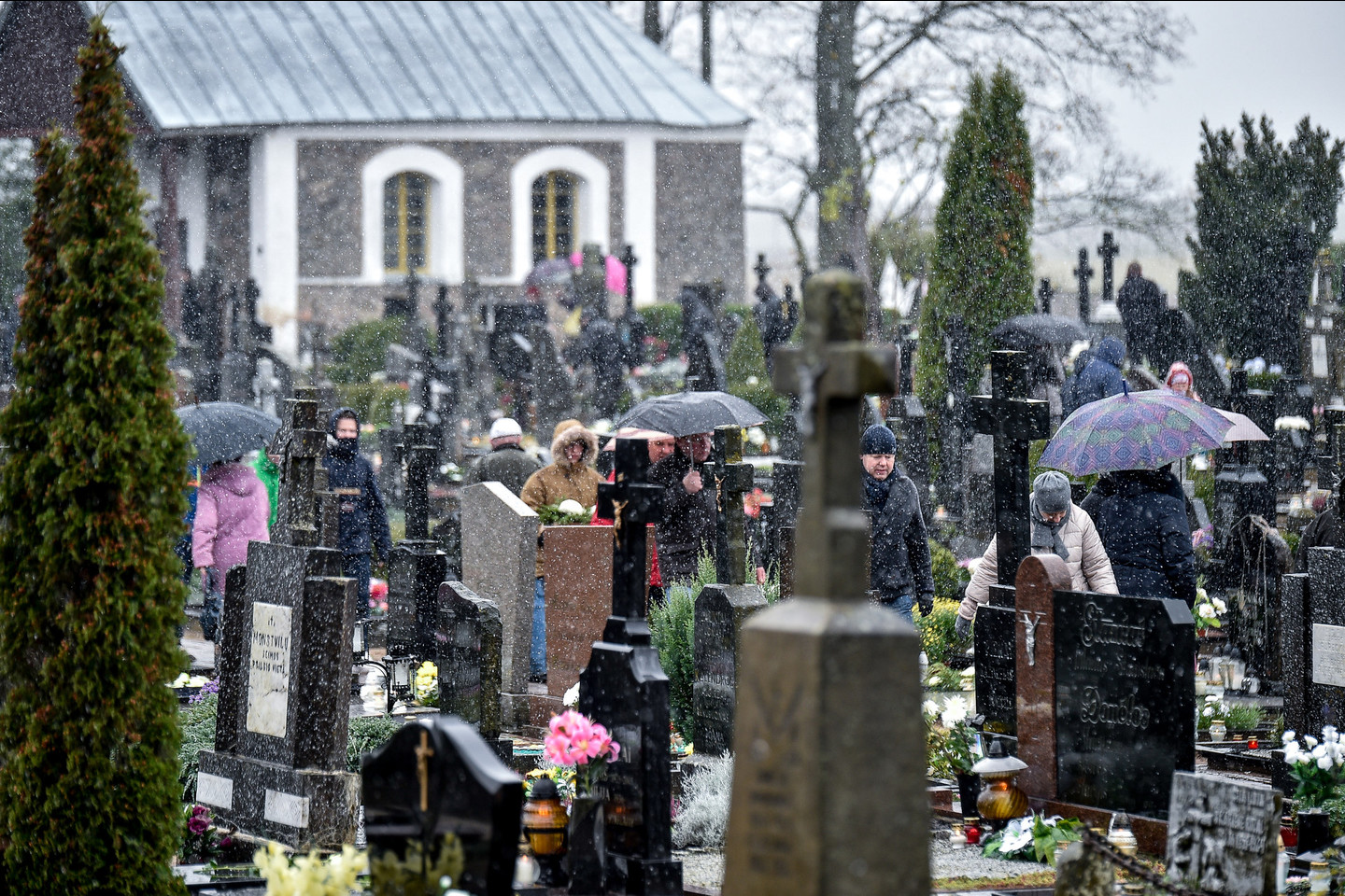 Lapkričio pradžioje – žiemiškos išdaigos.<br>V. Ščiavinsko nuotr.