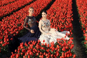 „Tiulio fėja“ padovanos suknelę stilingiausiai madų šou viešniai