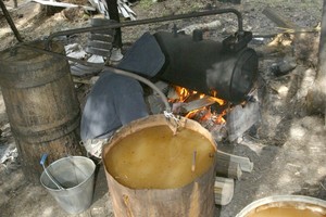 Naminukei pasiūlė piktą vardą: jį išgirdę išsyk jos nenorėsite gerti