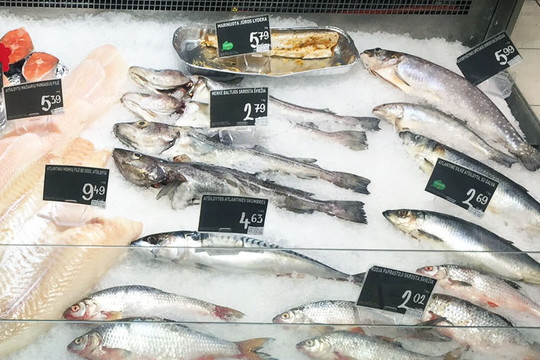 Nauja šviežios žuvies parduotuvė Klaipėdoje kelia nerimą senbuviams