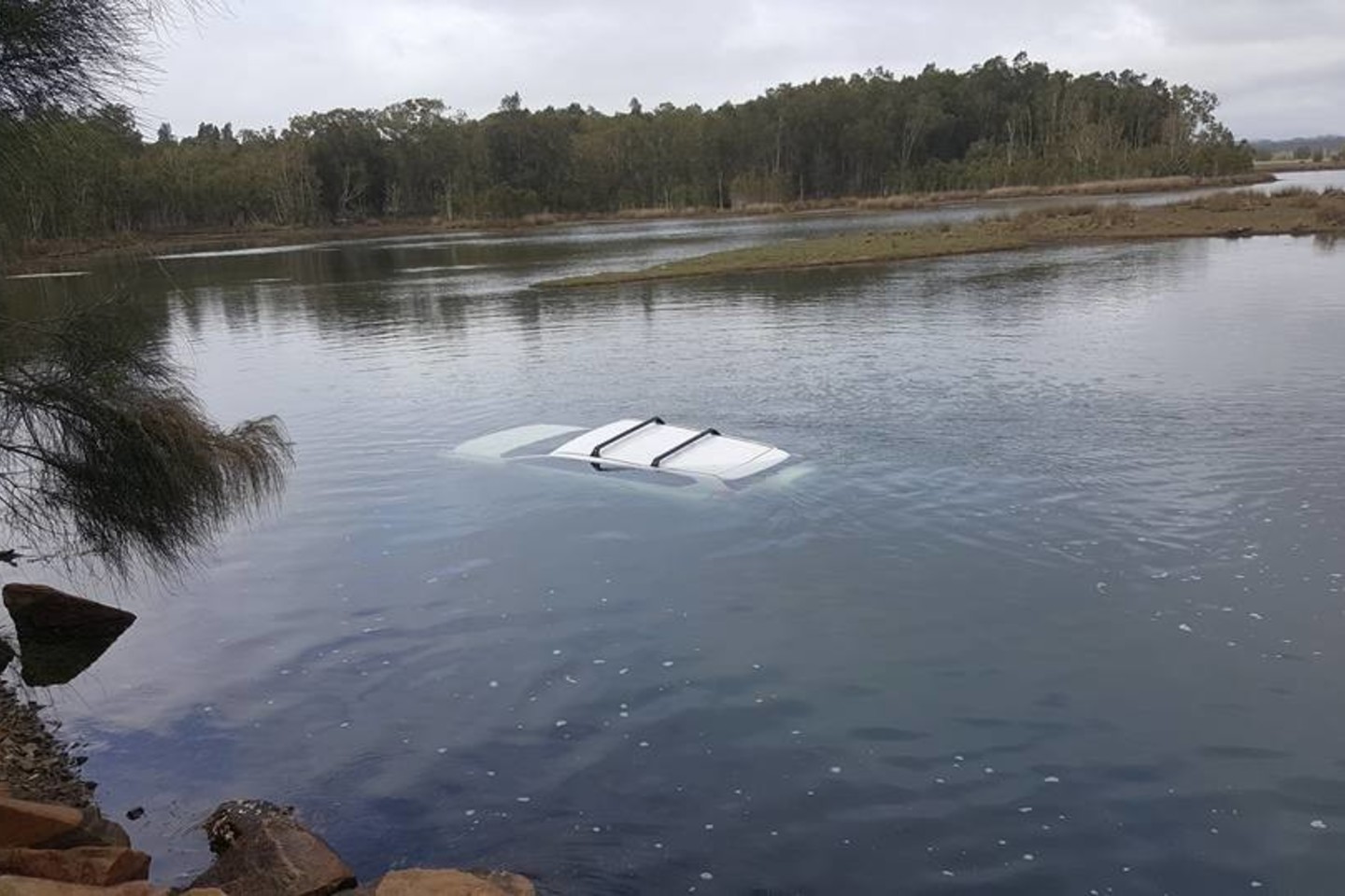 Išsigandęs ant kelių nukritusio voro vairuotojas netyčia įvažavo į Leik Kačio ežerą.<br>facebook.com/grayam.page nuotr.