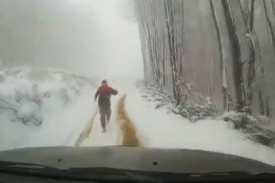 Dėl gamtinių reikalų pamiršo stovėjimo stabdį – po to buvo nejuokinga