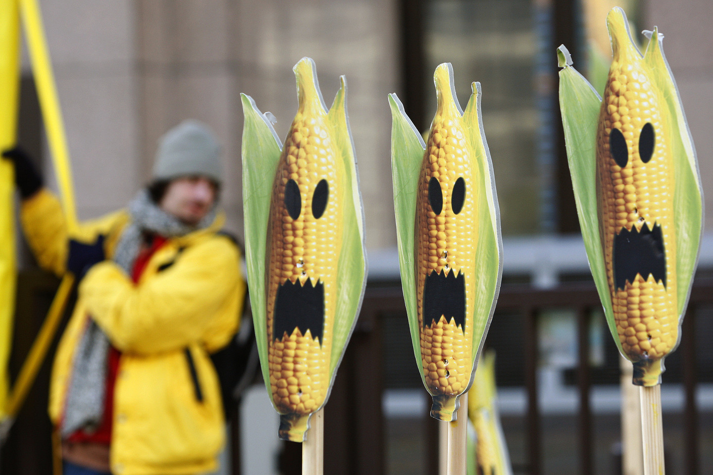 ES valstybėse narėse GMO naudojimas yra griežtai reglamentuotas.<br>„Reuters“/ „Scanpix“ nuotr.