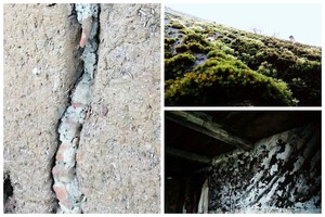 Sunku suvokti, kaip vienkiemio šeimininkė gali gyventi tokiame name