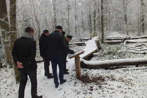 Atsinaujinęs gamtos pažinimo takas atveria Buktos miško paslaptis