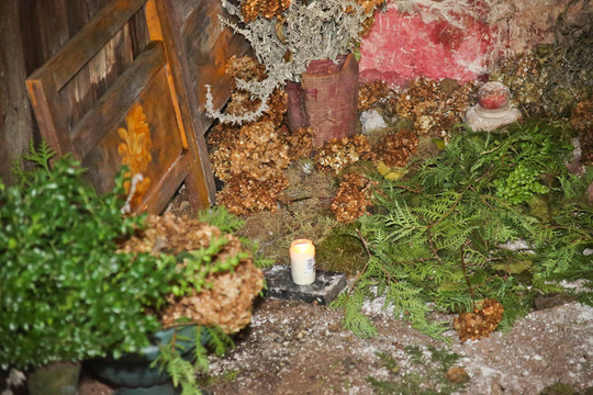 4 metus negyvą dukrą rūsyje slėpusi senutė – psichiatrų rankose, bet dar lieka įtariamąja