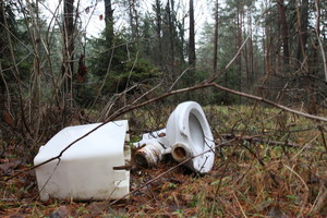 Miškų negyvėliai – tai, ką iš automobilių išbruka žmonės