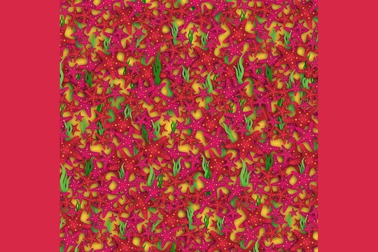 Rimtas iššūkis: ar rasite lėktuvą vandenyno dugne?