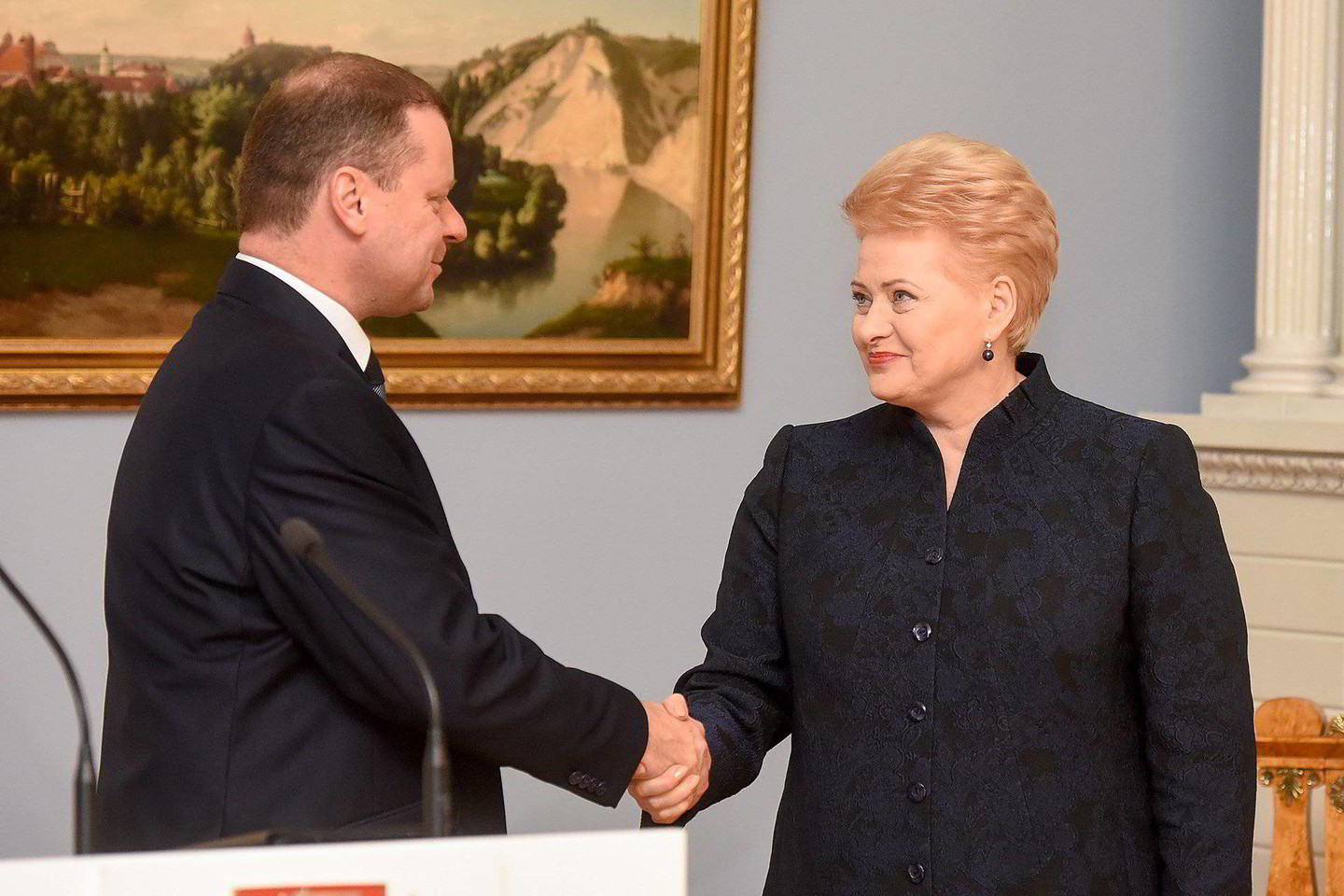 S.Skvernelis antradienį buvo susitikęs su prezidente D.Grybauskaite.<br>D.Umbraso nuotr.