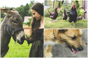 Gelbėtojos širdį pavergę nelaimėliai – šunys, asilas ir sušalęs gaidys