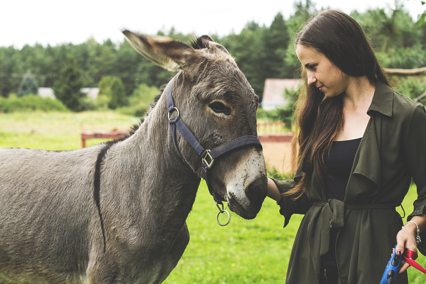 Robertą gyvūnai supa nuo pat mažumės. O dabar jos pašonėje ir šuo, ir asilas, ir gaidys.<br>G. Kniežaitės – Novikovienės nuotr.
