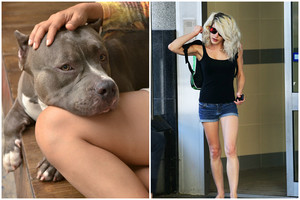Iškrypęs moters elgesys su pitbuliu šokiravo net visko mačiusius
