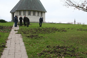 Šernė su savo paršeliais koplyčios aplinką pavertė knisykla