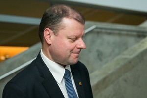 Politologas apie Sauliaus Skvernelio ministrus: „Katės maiše“