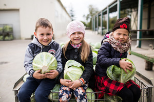 Pamėgti daržoves mažuosius skatina ūkininkai