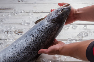 Restorano šefas pataria, kaip išsirinkti ir laikyti šviežią žuvį