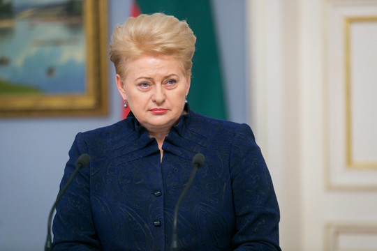 Dalia Grybauskaitė inicijuoja smurtu prieš žmoną įtariamo teisėjo atleidimą