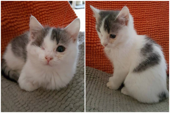 Kitokia nei visi: žiaurumus iškentusi ji prašo svajonės išsipildymo