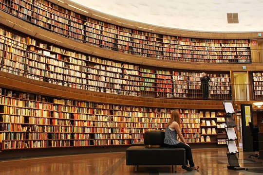 Ramunė Sakalauskaitė. Bibliotekų tuštėjimo metas