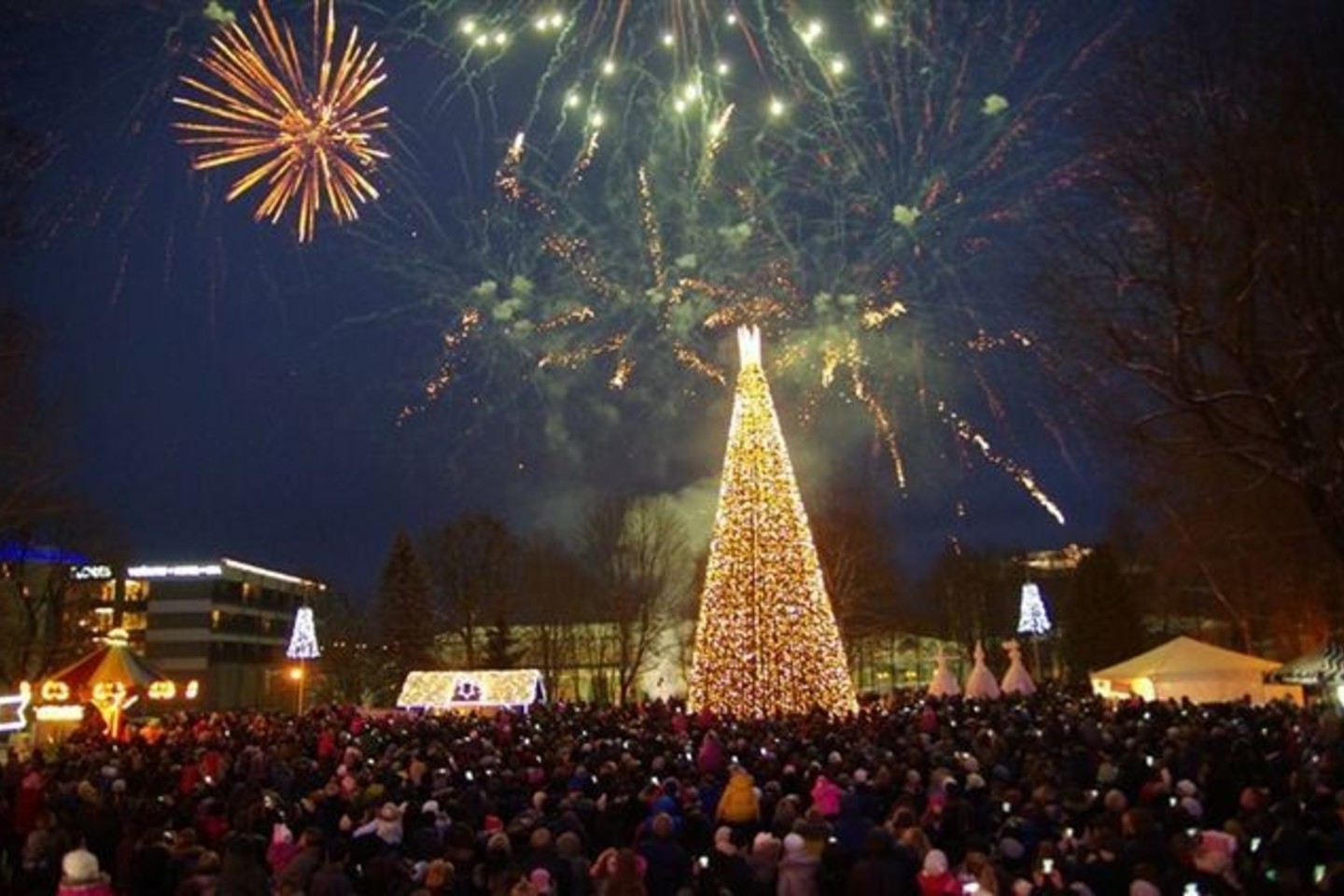 Druskininkuose pagrindinę Kalėdų eglę supa 46 eglučių parkas.