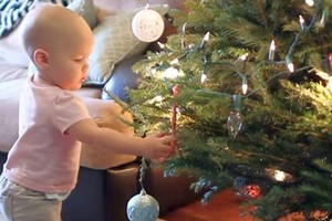 Kalėdinių dekoracijų tendencijos: kas madingiausia šiais metais?