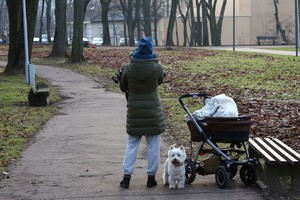 Dėl vairuotojo pažymėjimo jauna mama iškentė tikrą pragarą