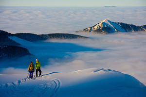 Paslidinėti už „įkertamą“ kainą misija – neįmanoma?