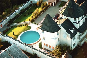 Už Henriko Daktaro pilies vartų – šunys ir sustojęs laikas