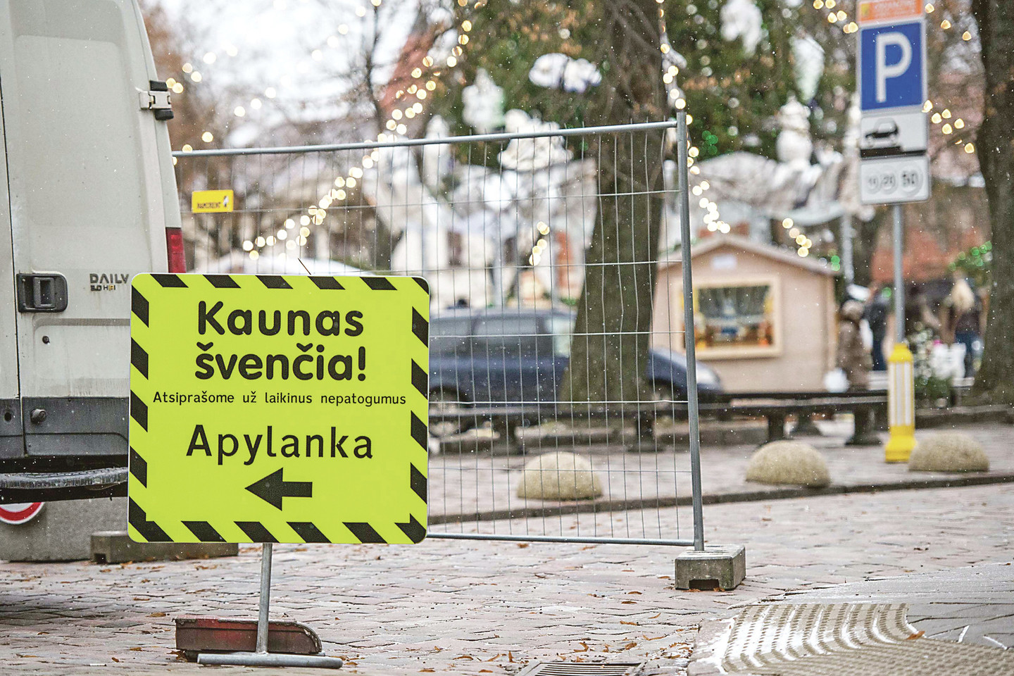 Pasidžiaugti pagrindine miesto egle norintiems kauniečiams ir Kauno svečiams patariama automobilius palikti atokiau nuo Rotušės aikštės ir keliauti pėsčiomis.