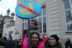 Kodėl ančiukas tapo demonstracijų Varšuvoje antiherojumi?