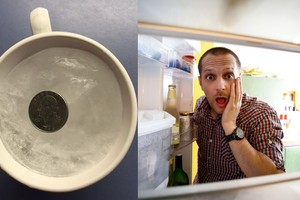 Įdėkite monetą į šaldymo kamerą. Tai išgelbės jūsų sveikatą