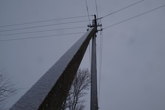 Barometras: elektra brango visose Baltijos šalyse