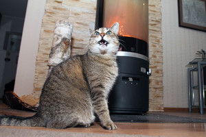 Tokios dujų kainos tapo siurprizu: „Pigiau namus šildyti atvirais langais“