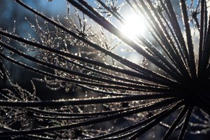 Pirmoji astronominės žiemos diena: kuo ji ypatinga