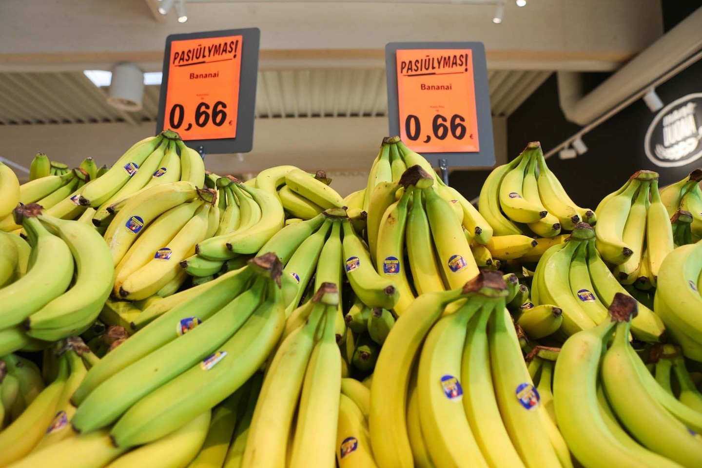 Vidutinė bananų importo kaina per metus sumažėjo tik 1 procentu – iki 69 euro centų už kilogramą, tad didžiausią įtaką mažesnei bananų kainai turėjo mažesnis prekybos antkainis.