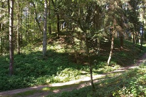 Paaiškėjo senosiose kronikose aprašyto Veprių piliakalnio likimas