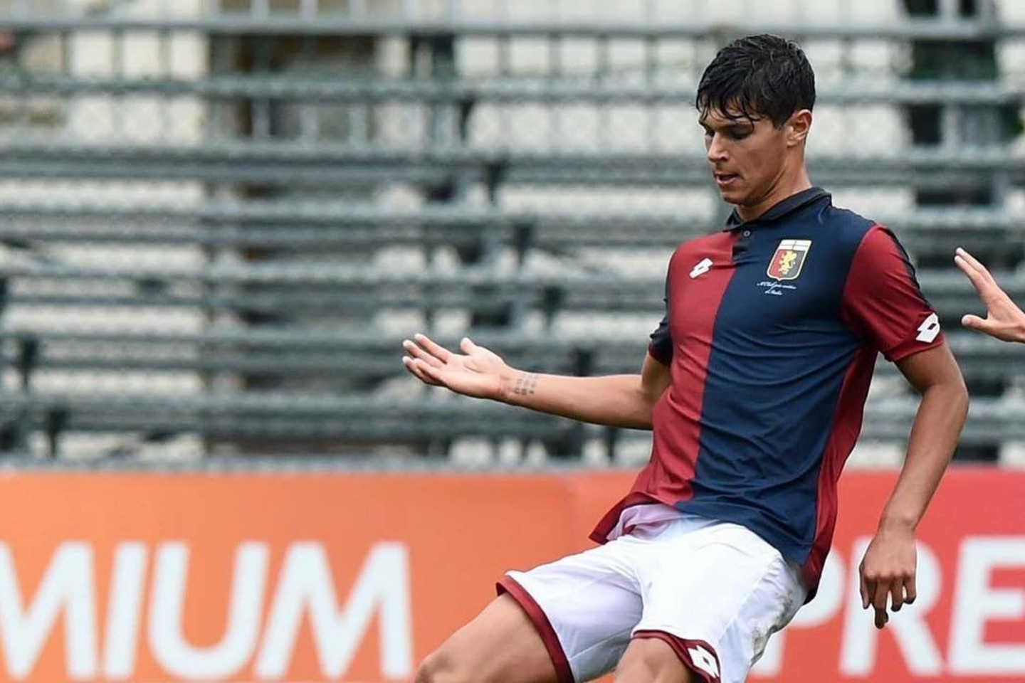 P.Pellegri.