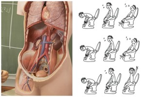 Žarnyno žavumynai: ką daryti, kai užkietėja viduriai?