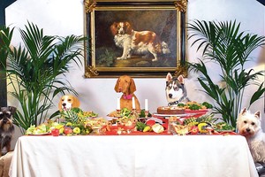 Vienas kąsnelis nuo šventinio stalo – ir augintinis negyvas