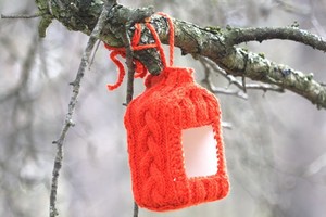 Ornitologas atskleidė, kaip sukurti paukščius į kiemą viliojančią lesyklėlę