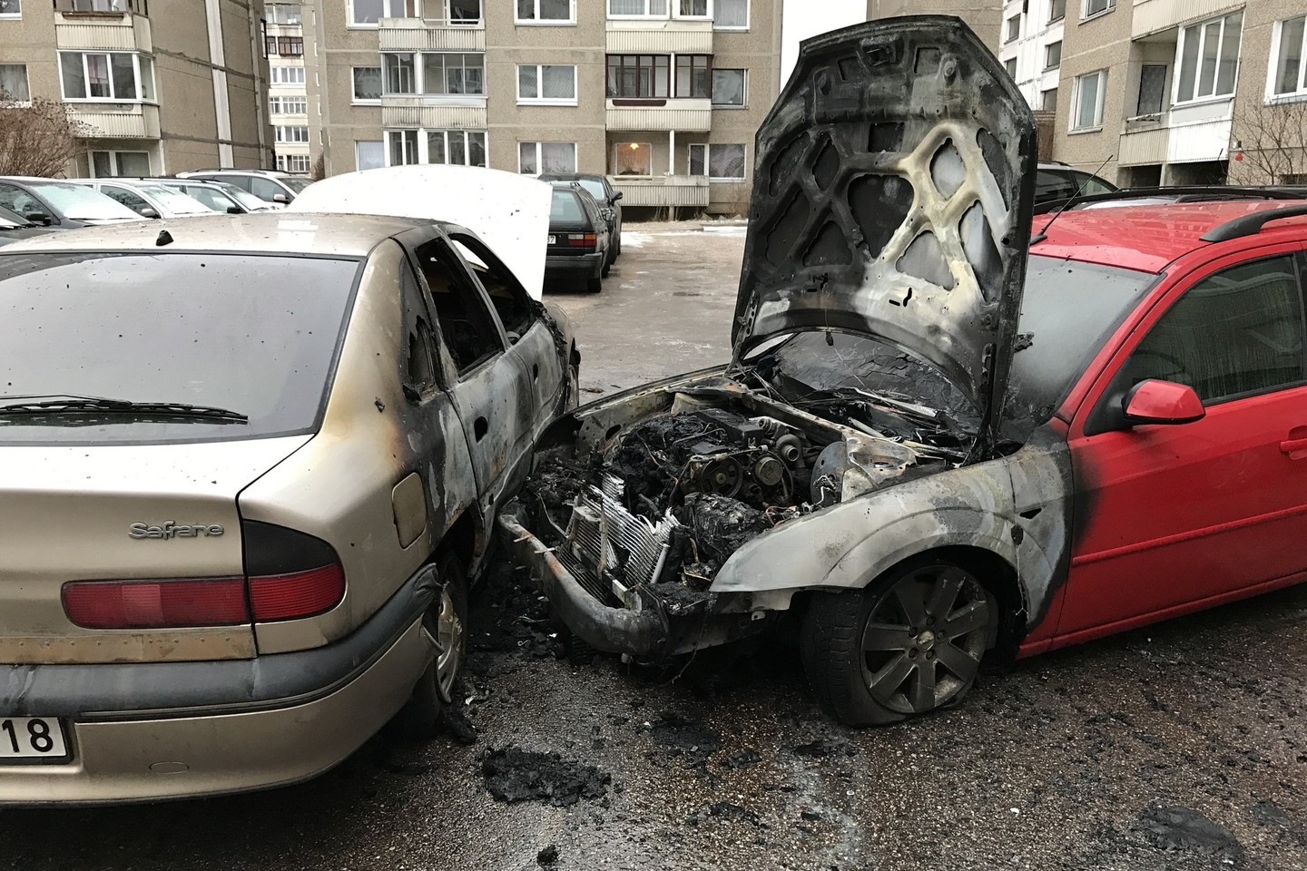 Vilniuje liepsnojo du automobiliai.