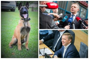 2016 metai – su karštomis šaldytų embrionų ir kyšių žymėmis