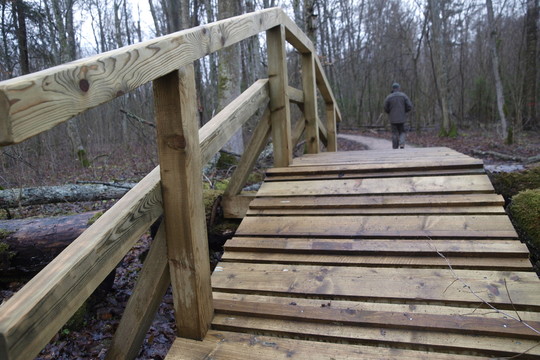 Suvalkiečiai tai seniai išbandė – nereikia nė samanės