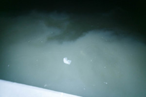 Suskaičiavo, kiek žalos pridarė į Nerį išleistos nuotekos